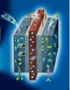 ��ȼ��늳ع���ģ��