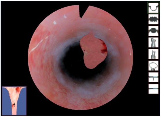 ZR-GQJ-1001�mǻ�R���gģ�M��